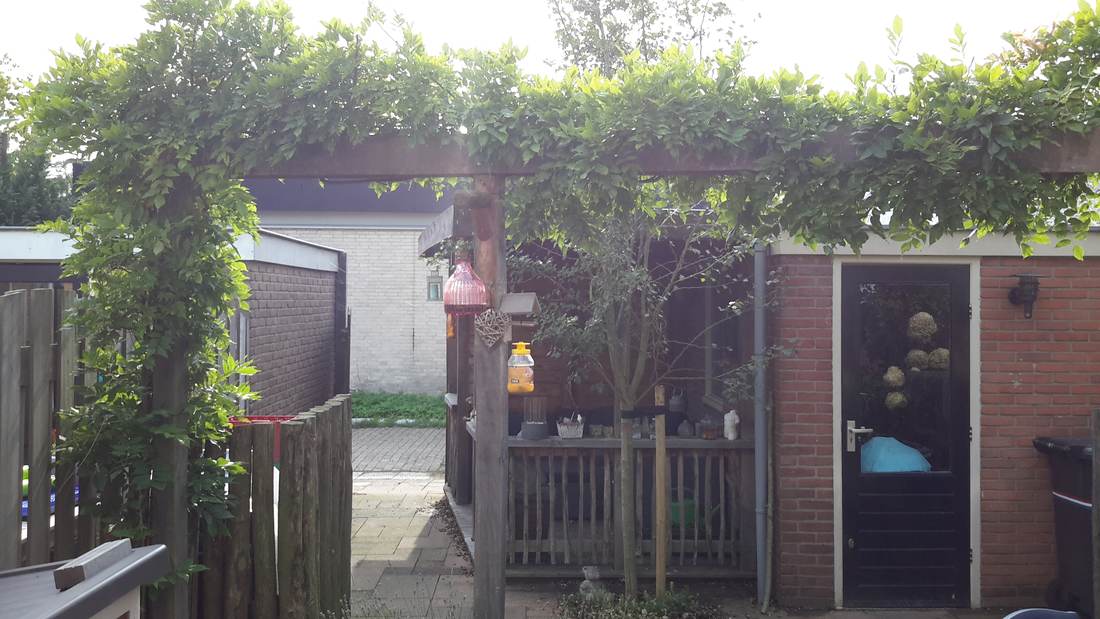 Begroeide pergola
